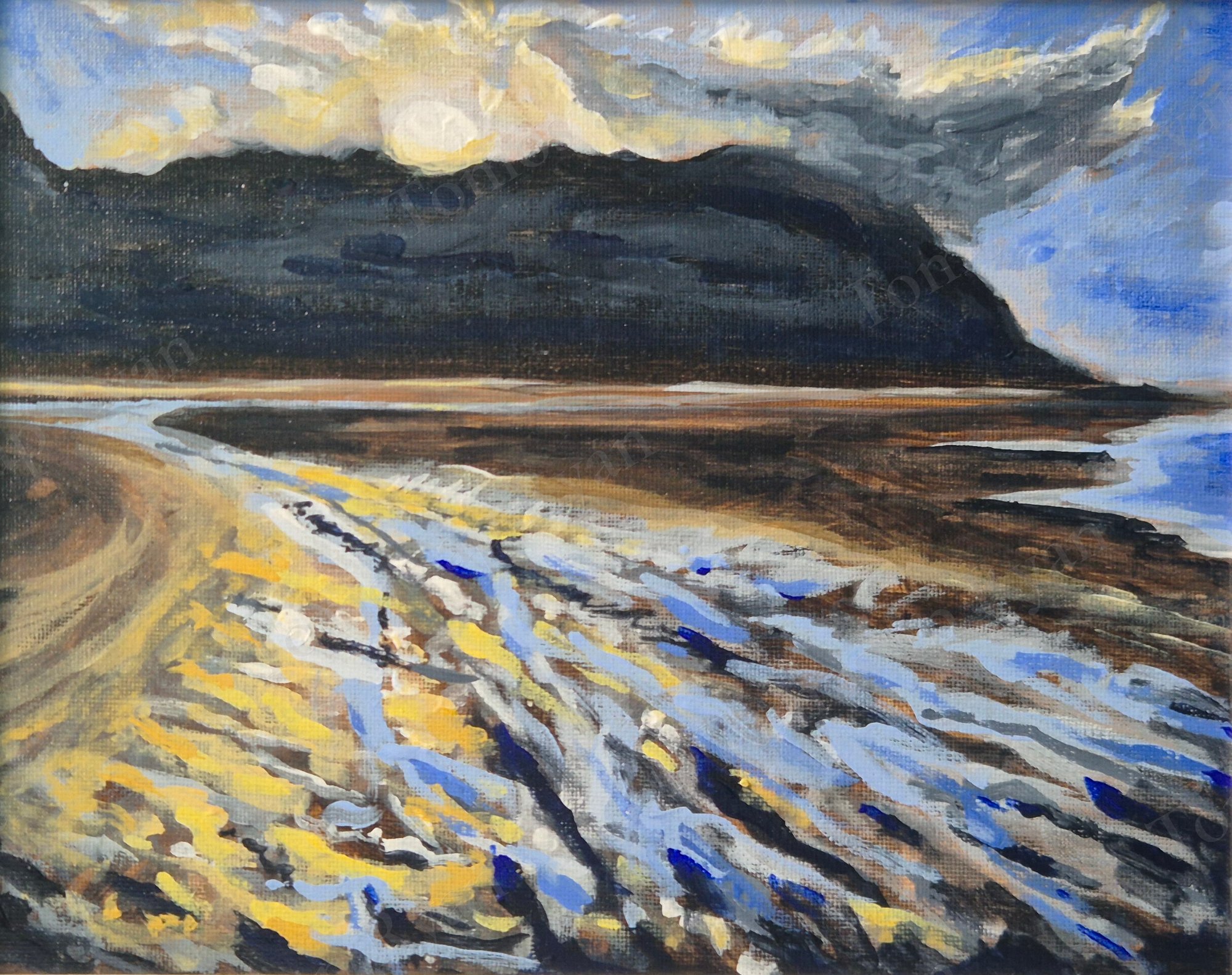 Traeth Morfa Conwy